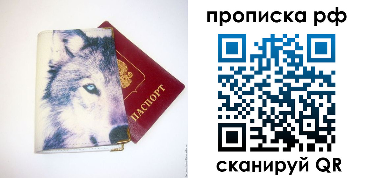 прописка 2025 в Димитровграде